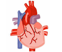 coronary artery bypass grafting