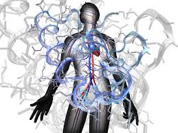 cardiac troponin I