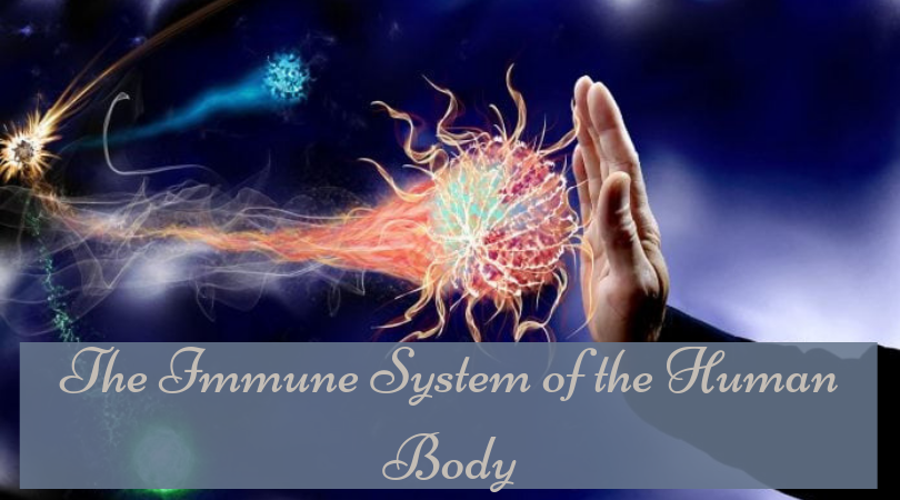 The Immune System of the Human Body